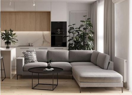 GGoty Foglio Di Ricambio Per Divano In Schiuma Ad Alta Densità, Da 100/120/150/180 Cm, Ricambio Per Divano (80 X 40 Cm, 3 Cm - Foto 6